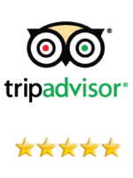 5 star reviews on trip advisor